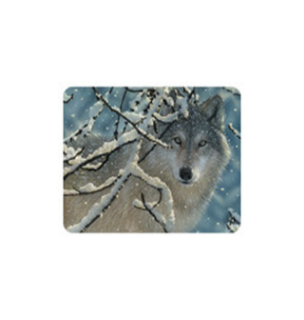 Obrázek z Magnet 3D 7x9cm - vlk v zimě (25) 